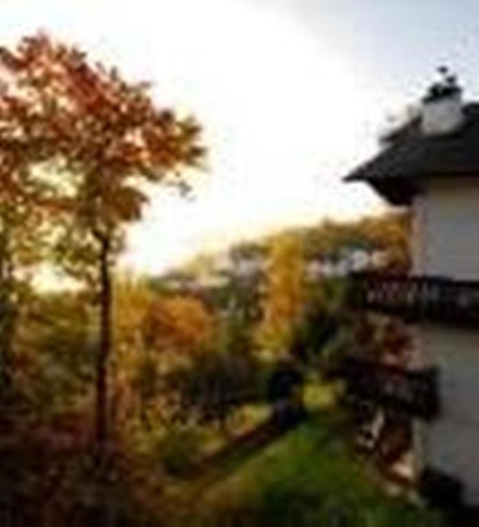 Hotel Du Lac Mont-Tremblant Rom bilde